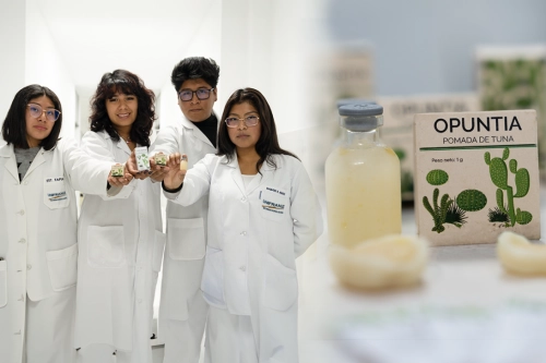 Estudiantes extraen el mucílago del nopal y lo convierten en medicina antiinflamatoria