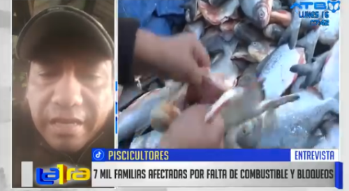 Crisis de combustibles afecta la producción piscícola en el Trópico de Cochabamba