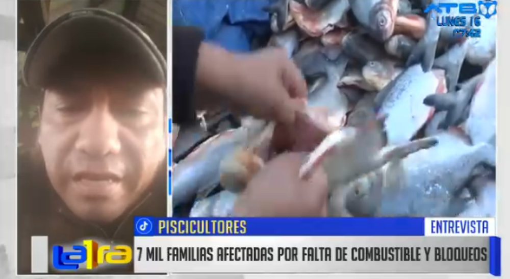 Crisis de combustibles afecta la producción piscícola en el Trópico de Cochabamba
