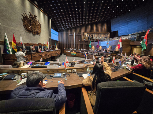 El Senado cumple el compromiso y sanciona millonario crédito del BID