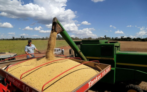 La cosecha de verano alcanza el 77% pese a escasez de insumos y restricciones al agro