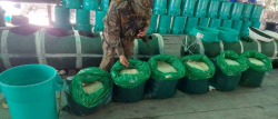 Destruyen megalaboratorio donde se producía 190 kilos de droga a la semana
