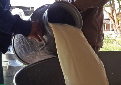 Siles anuncia controles y procesos para frenar el alza de la leche