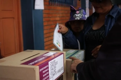 Gobierno desembolsará este lunes $us 400 mil para financiar el voto en el exterior