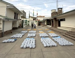 Felcn ejecuta tres operativos y secuestra 439 kilos de droga