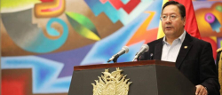 Arce se reunió con su gabinete para analizar la problemática de combustibles y la forma de acceder a dólares, según ministro de Minería